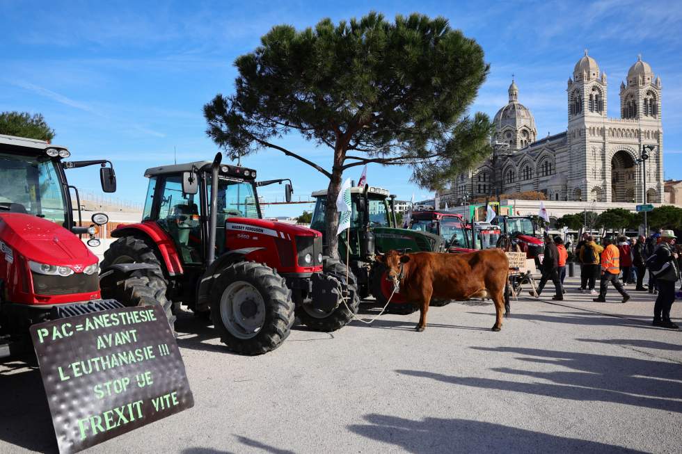 France : des agriculteurs manifestent avant de nouvelles annonces du gouvernement