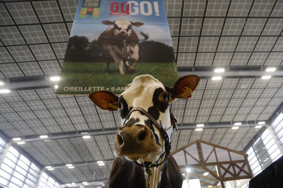 Un Salon de l'agriculture 2024 sous le sceau de la colère Un Salon de l'agriculture 2024 sous le sceau de la colère