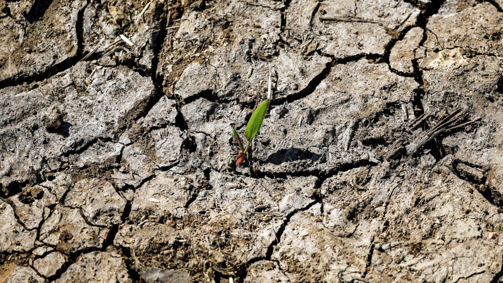Réchauffement climatique : l'année 2024 pourrait être la plus chaude de l'Histoire, alerte l'ONU Réchauffement climatique : l'année 2024 pourrait être la plus chaude de l'Histoire, alerte l'ONU
