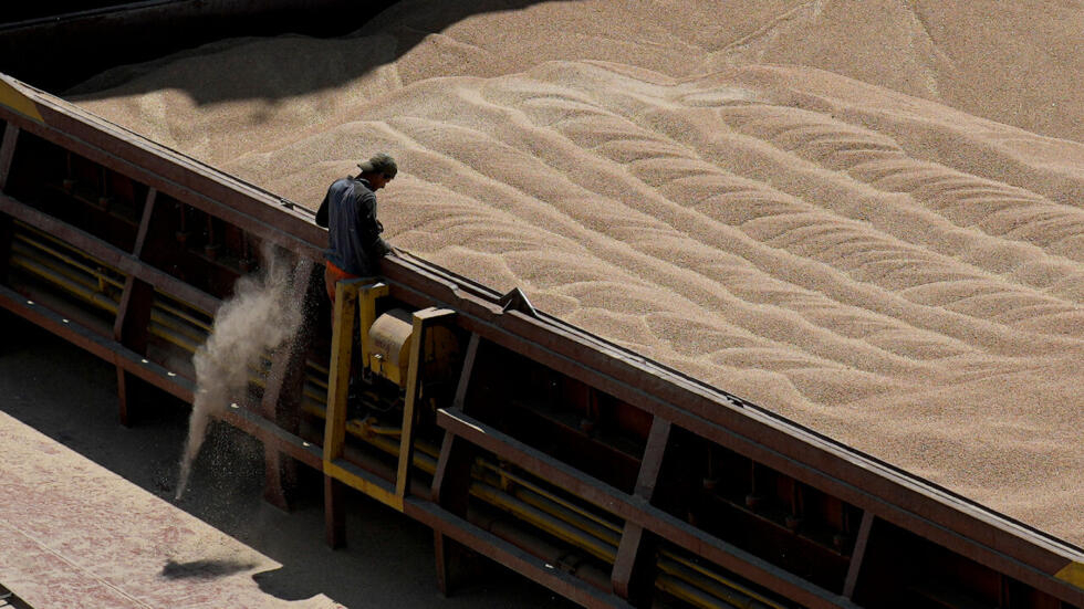 Ukraine : accord dans l'UE pour plafonner les importations de volailles, maïs et avoine Ukraine : accord dans l'UE pour plafonner les importations de volailles, maïs et avoine