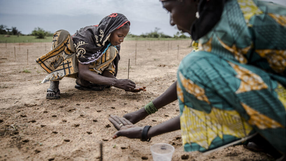 Chaleur meurtrière au Sahel : une étude incrimine le changement climatique "d'origine humaine"