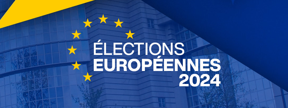 Européennes : l'extrême droite française ne va plus siéger avec l'AfD au Parlement européen