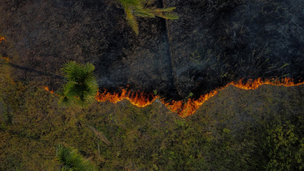 Incendies au Brésil : l'Amazonie a connu son pire premier semestre en 20 ans