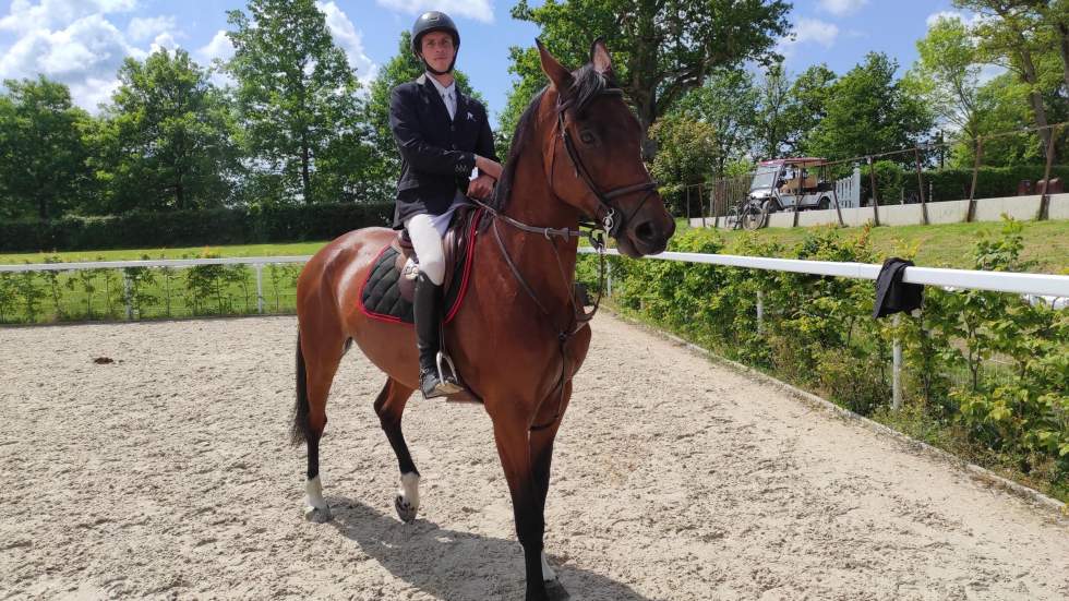 Au Haras national du Pin, le "Versailles du cheval" se modernise