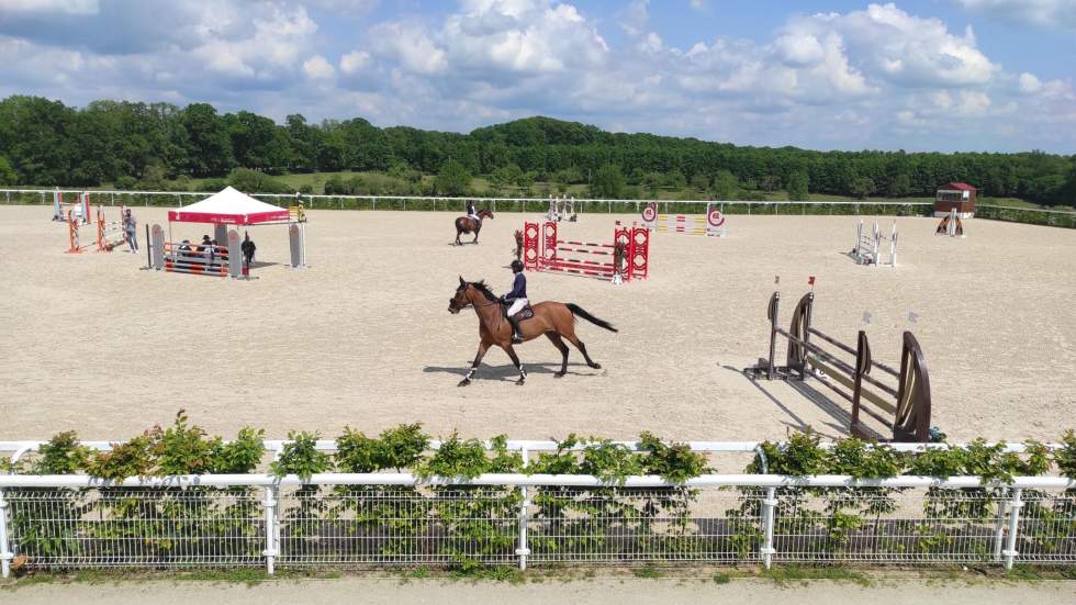 Au Haras national du Pin, le "Versailles du cheval" se modernise