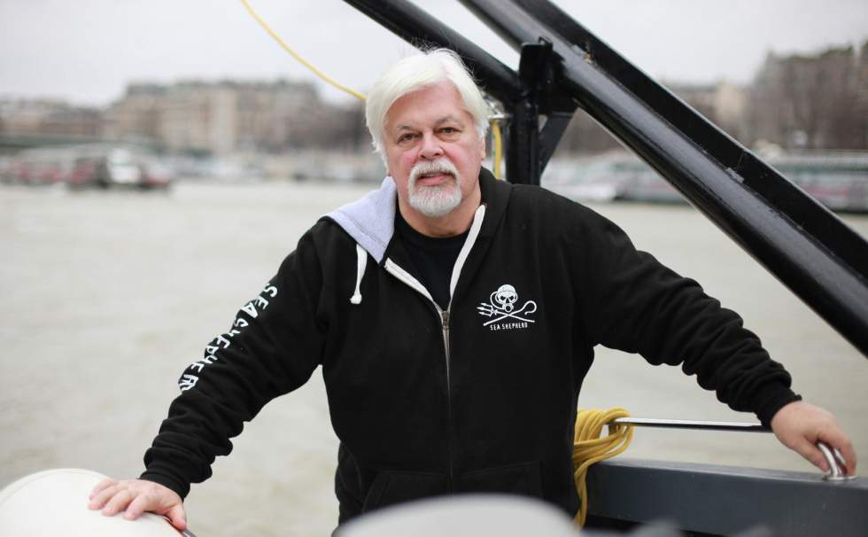 Chasse à la baleine: le Japon demande l'extradition de Paul Watson, arrêté et détenu au Groenland