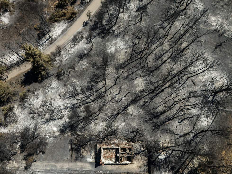 Feux de forêt en Grèce : derrière la crise climatique, la responsabilité des autorités en question Feux de forêt en Grèce : derrière la crise climatique, la responsabilité des autorités en question