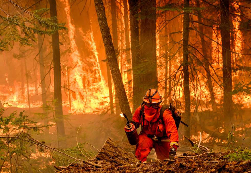 En 2024, un nouvel été marqué par les effets du dérèglement climatique