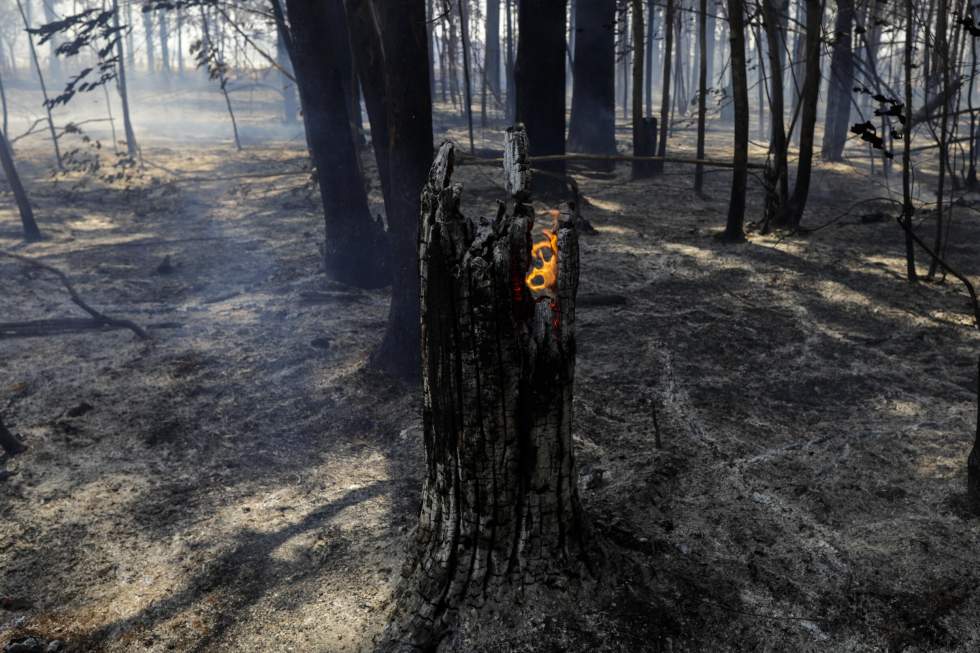 Climat : l'été 2024 a été le plus chaud jamais enregistré sur la planète Climat : l'été 2024 a été le plus chaud jamais enregistré sur la planète