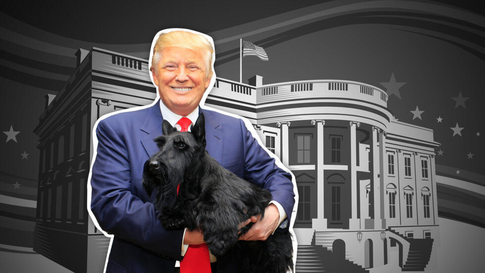 Comme chien et chat : quand Donald Trump se sert des animaux de compagnie contre Kamala Harris