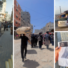 "Ils n'ont plus rien, ils survivent à même les décombres" : à Khan Younès, un nouveau déplacement forcé sous les bombardements "Ils n'ont plus rien, ils survivent à même les décombres" : à Khan Younès, un nouveau déplacement forcé sous les bombardements