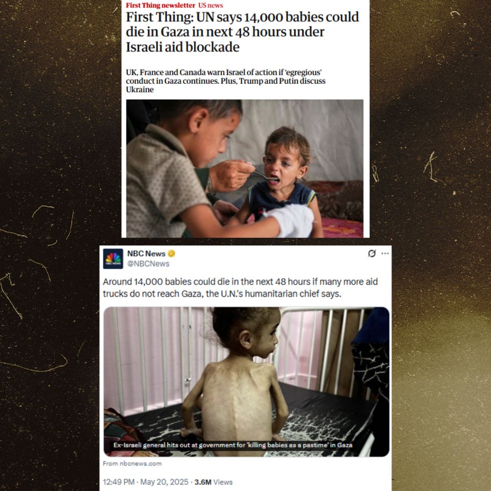 À Gaza, 14 000 enfants malnutris "risquent de mourir" d'ici un an : retour sur un chiffre alarmant À Gaza, 14 000 enfants malnutris "risquent de mourir" d'ici un an : retour sur un chiffre alarmant