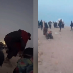 Distribution d'aide humanitaire du 1er juin à Rafah : retour sur une journée de chaos Distribution d'aide humanitaire du 1er juin à Rafah : retour sur une journée de chaos
