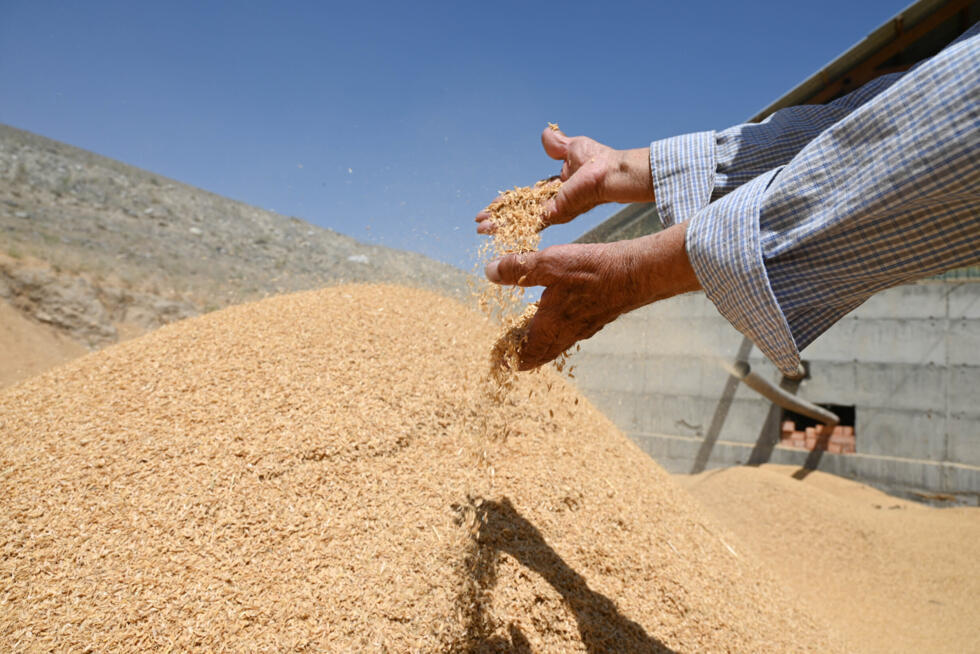 L'instant + : le Kirghizstan construit des maisons en riz écologiques et économiques L'instant + : le Kirghizstan construit des maisons en riz écologiques et économiques