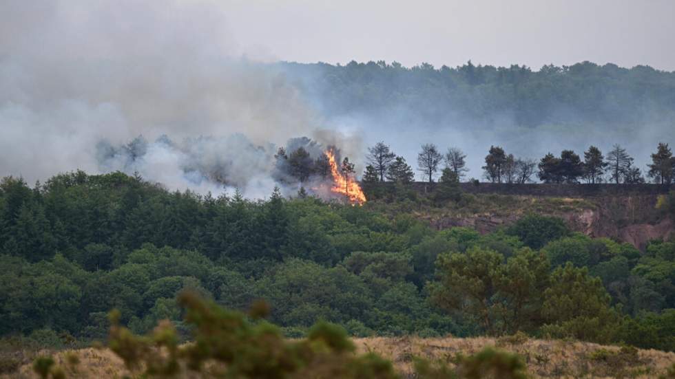 Bretagne : un incendie détruit une centaine d'hectares de végétation dans la forêt de Brocéliande