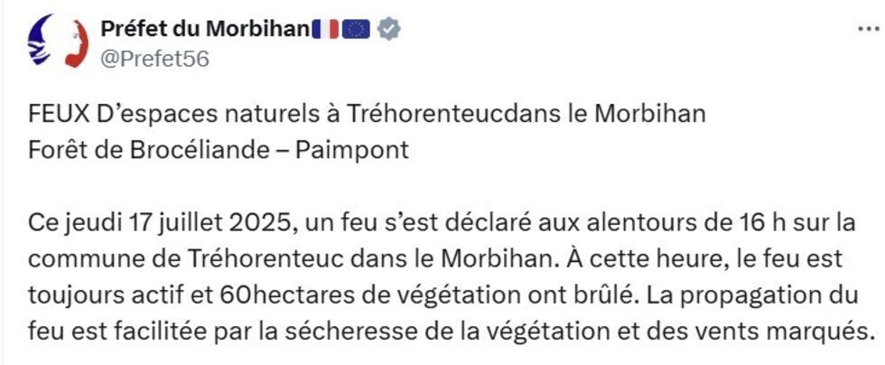 Bretagne : un incendie détruit une centaine d'hectares de végétation dans la forêt de Brocéliande