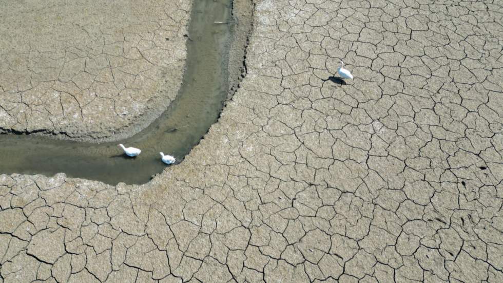 L'Europe et le pourtour méditerranéen frappés par une sécheresse record pour un début juillet L'Europe et le pourtour méditerranéen frappés par une sécheresse record pour un début juillet
