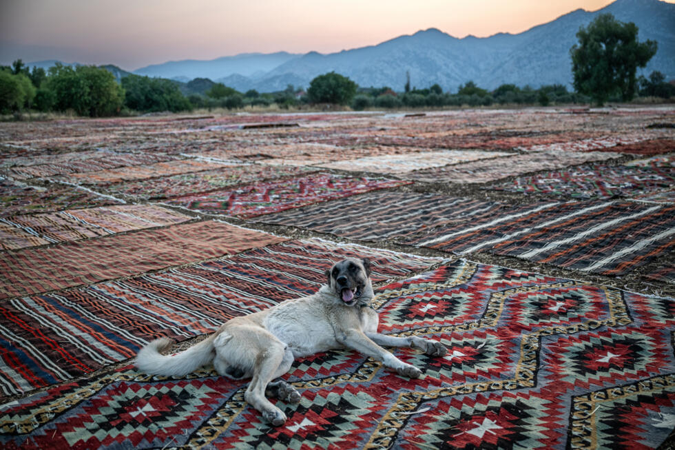 L'instant + : en Turquie l'été, les tapis s'offrent un bain de soleil L'instant + : en Turquie l'été, les tapis s'offrent un bain de soleil