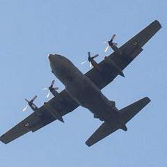 Largage d’aide sur Gaza : "Lutter contre la famine, ce n’est pas juste compter des avions" Largage d’aide sur Gaza : "Lutter contre la famine, ce n’est pas juste compter des avions"