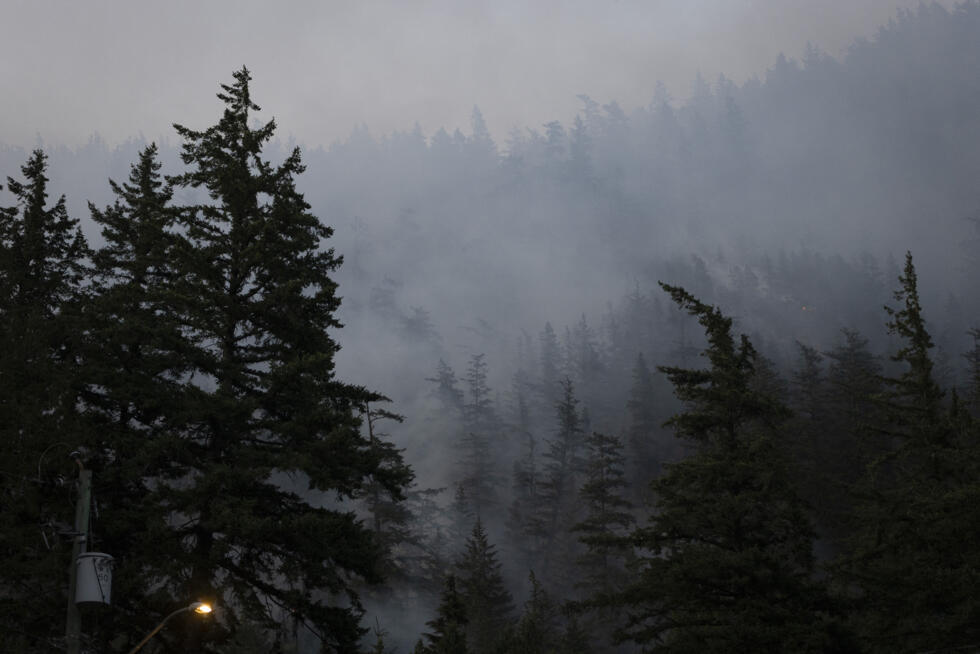 Été 2025 : un mois de déchaînement climatique à l'échelle mondiale Été 2025 : un mois de déchaînement climatique à l'échelle mondiale