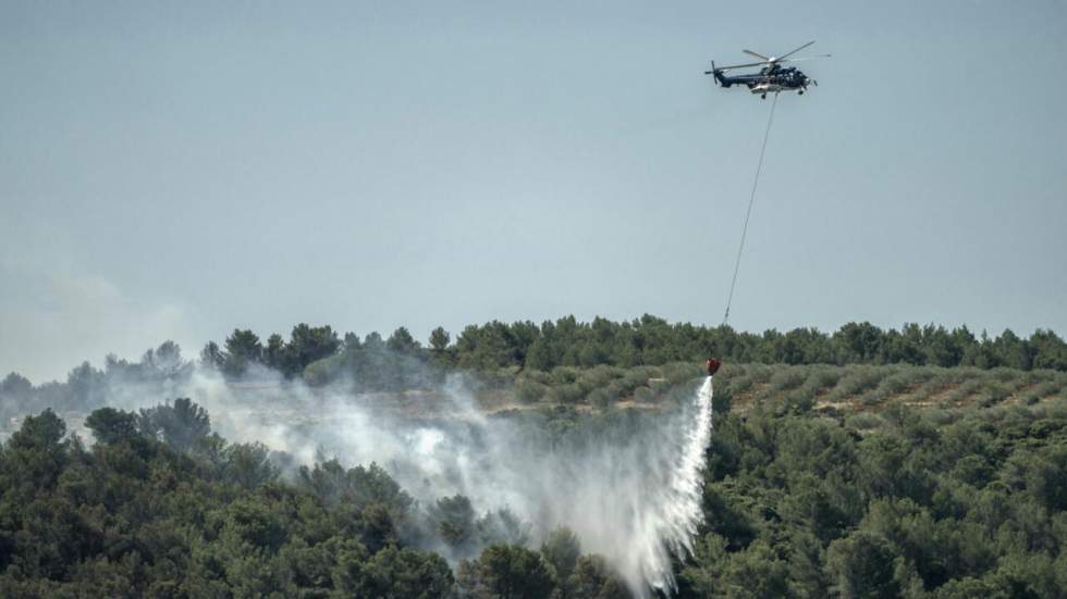 Incendie dans l'Aude : "Mieux comprendre les feux de forêt nous permettrait de mieux les anticiper"