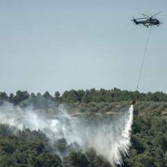 Incendie dans l'Aude : "Mieux comprendre les feux de forêt nous permettrait de mieux les anticiper" Incendie dans l'Aude : "Mieux comprendre les feux de forêt nous permettrait de mieux les anticiper"