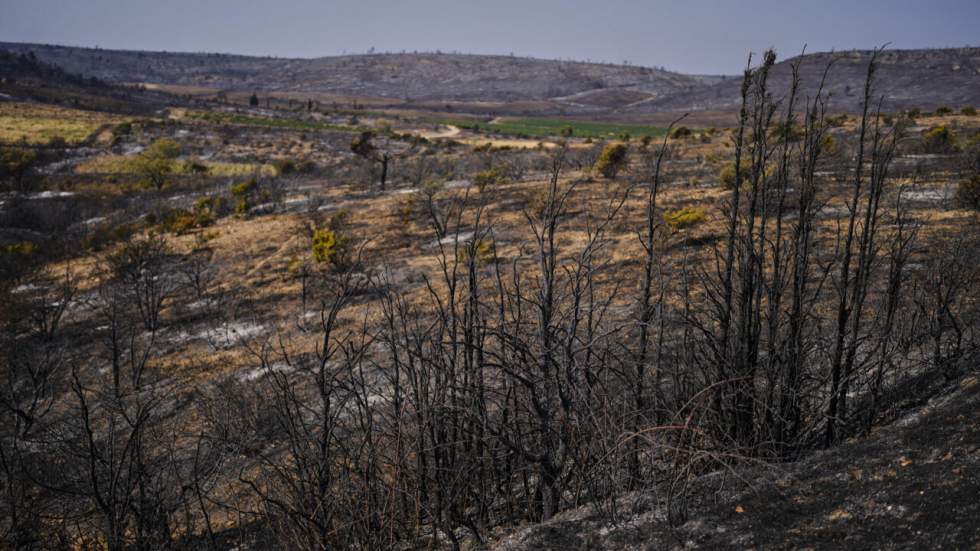 Incendie dans l'Aude : le feu d'une ampleur exceptionnelle "est fixé" Incendie dans l'Aude : le feu d'une ampleur exceptionnelle "est fixé"