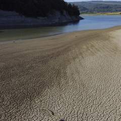 La sécheresse affecte la moitié de l’Europe et du bassin méditerranéen depuis avril La sécheresse affecte la moitié de l’Europe et du bassin méditerranéen depuis avril