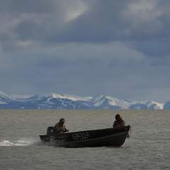 Sommet Trump-Poutine : l'Alaska, un ex-territoire russe devenu américain Sommet Trump-Poutine : l'Alaska, un ex-territoire russe devenu américain