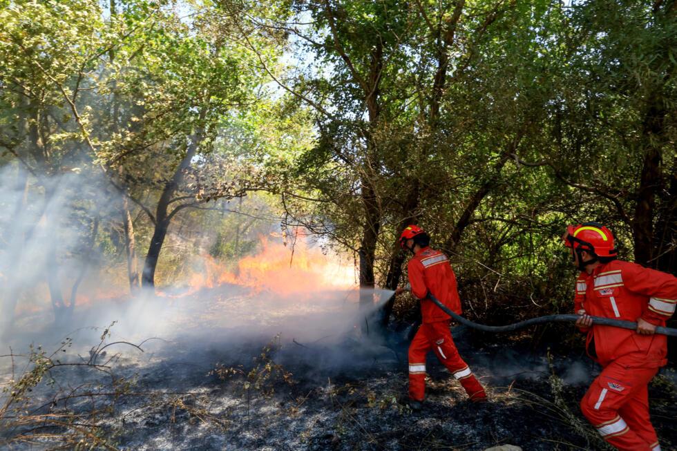 Canicule en Europe : plusieurs pays en surchauffe luttent contre les feux