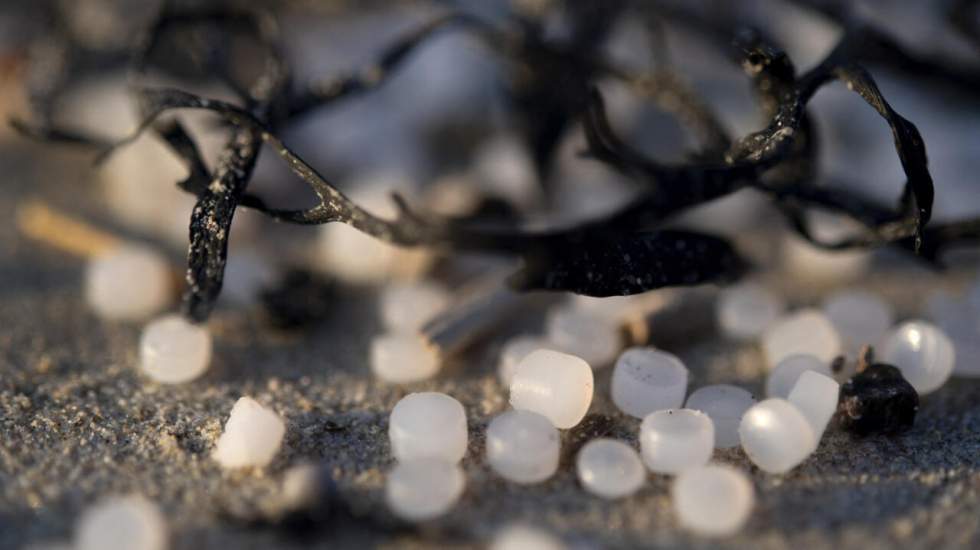 "Larmes de sirènes" : comment de minuscules granulés de plastique envahissent l'environnement