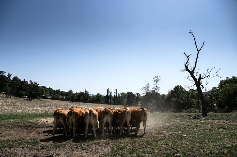 La France entre dans son septième jour de canicule, baisse provisoire des températures
