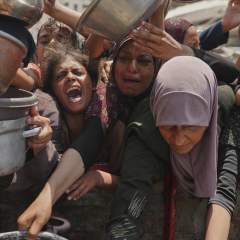 Guerre à Gaza : l'armée israélienne va déplacer des Palestiniens dans le sud de l'enclave Guerre à Gaza : l'armée israélienne va déplacer des Palestiniens dans le sud de l'enclave