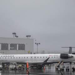 Les hôtesses et stewards d'Air Canada toujours en grève, les négociations reprennent Les hôtesses et stewards d'Air Canada toujours en grève, les négociations reprennent