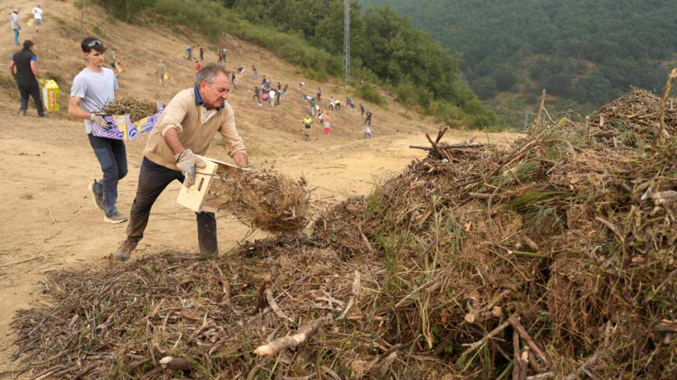 Espagne : fin de la vague de chaleur extrême mais l'extinction des incendies est encore "très loin" Espagne : fin de la vague de chaleur extrême mais l'extinction des incendies est encore "très loin"