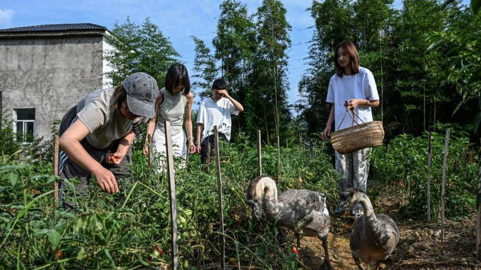 L'instant + : en Chine, des refuges 100 % féminins pour échapper aux pressions sociales L'instant + : en Chine, des refuges 100 % féminins pour échapper aux pressions sociales