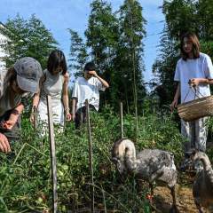 L'instant + : en Chine, des refuges 100 % féminins pour échapper aux pressions sociales L'instant + : en Chine, des refuges 100 % féminins pour échapper aux pressions sociales