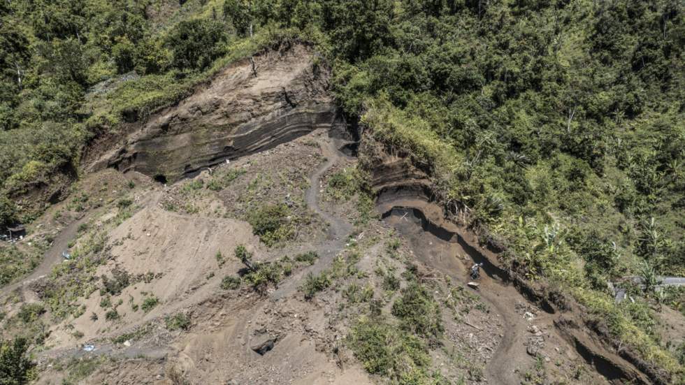 L'Instant + : Anjouan, île des Comores qui lutte pour sauver ses forêts L'Instant + : Anjouan, île des Comores qui lutte pour sauver ses forêts