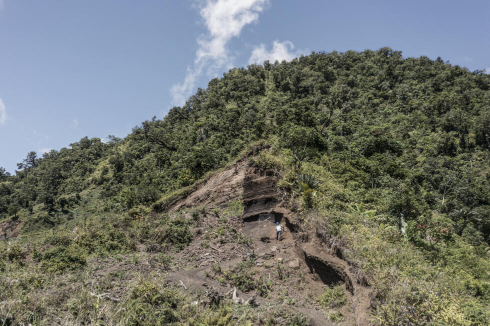 L'Instant + : Anjouan, île des Comores qui lutte pour sauver ses forêts L'Instant + : Anjouan, île des Comores qui lutte pour sauver ses forêts
