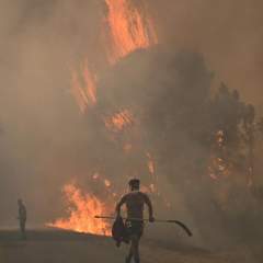 Plus d'un million d'hectares partis en fumée dans l'Union européenne en 2025, un record Plus d'un million d'hectares partis en fumée dans l'Union européenne en 2025, un record