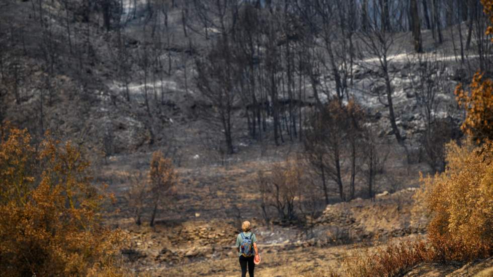 Le gigantesque incendie de l'Aude est déclaré éteint Le gigantesque incendie de l'Aude est déclaré éteint
