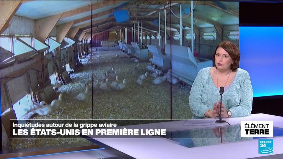 Entre le ministre Robert F. Kennedy Jr et le monde américain de la santé, rien ne va plus