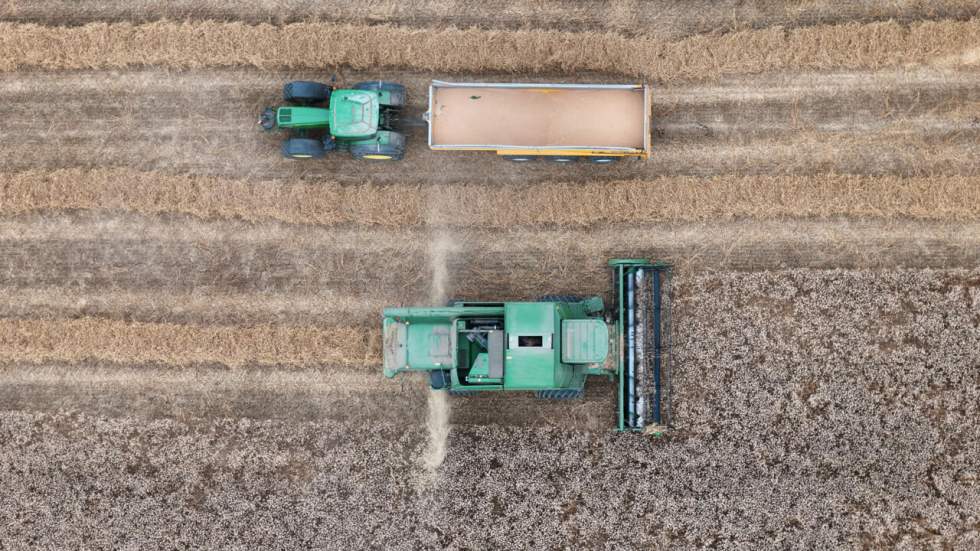 La justice française condamne l'État à revoir ses procédures d'autorisation des pesticides