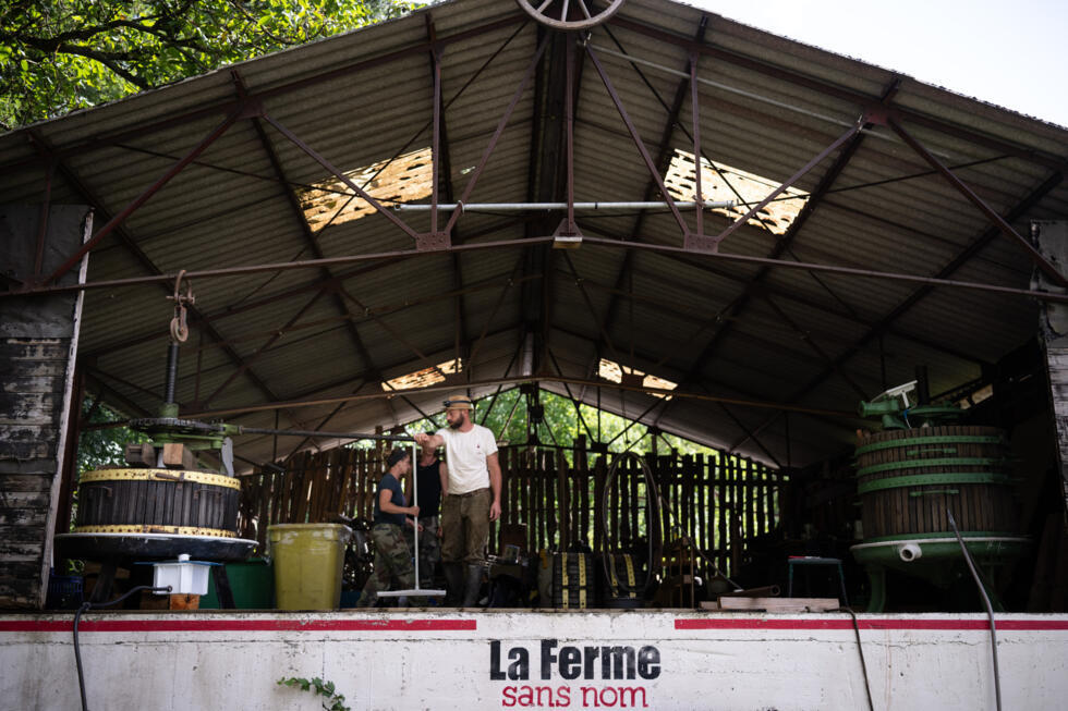 L'instant + : Malik, vendangeur à l'ancienne au cœur des vignobles alsaciens L'instant + : Malik, vendangeur à l'ancienne au cœur des vignobles alsaciens