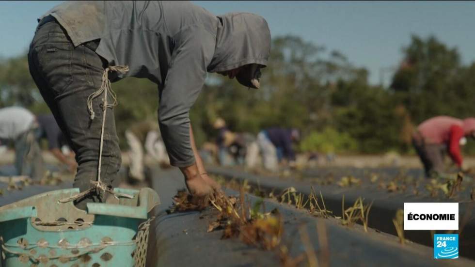 Raid contre l’usine Hyundai-LG : l'"America First" au défi de la politique antimigratoire Raid contre l’usine Hyundai-LG : l'"America First" au défi de la politique antimigratoire