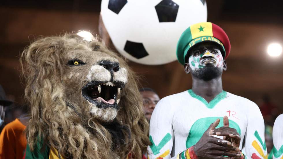 CAN 2025 : Lions, Léopards, Grues... Les surnoms des 24 équipes participantes CAN 2025 : Lions, Léopards, Grues... Les surnoms des 24 équipes participantes