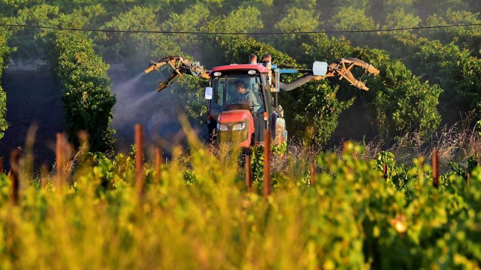 Pesticides : l'exposition des riverains des vignes passée au crible