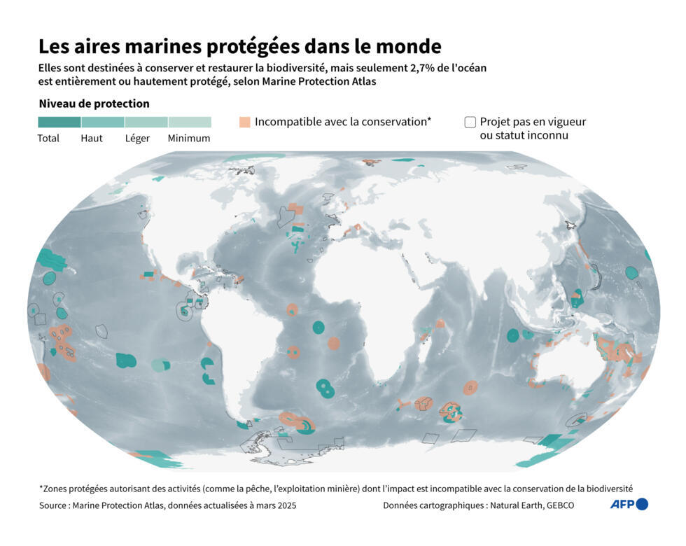 Qu'est-ce que le traité pour protéger la haute mer ?