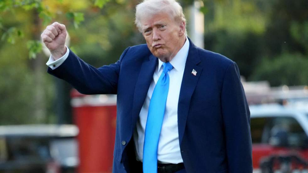 Donald Trump établit un lien entre le paracétamol et l'autisme, et préconise la leucovorine