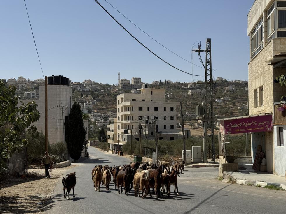 Cisjordanie, route 60 : l'incontournable "route de la mort" pour des milliers de Palestiniens